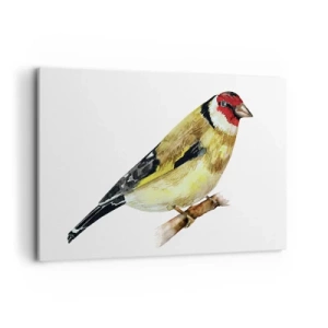 Impression sur toile - Image sur toile - Un oiseau à tête rouge sur une branche - 120x80cm - Portrait d'oiseau - Décoration murale moderne pour le salon et la chambre ARTTOR