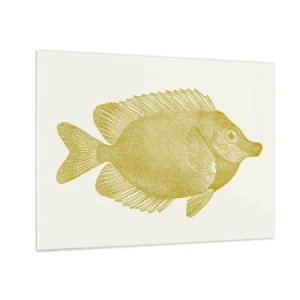 Impression sur verre - Image sur verre - Poisson rouge vintage sur fond clair - 70x50cm - Du poisson et c'est tout - Décoration murale moderne pour le salon et la chambre ARTTOR