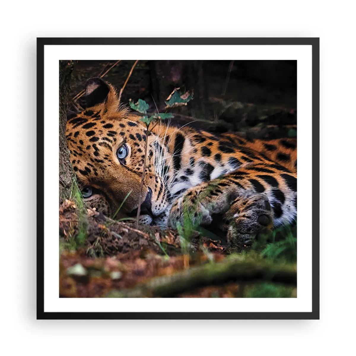 Affiche dans un cadre noir - Poster - Fais-moi confiance - 60x60 cm