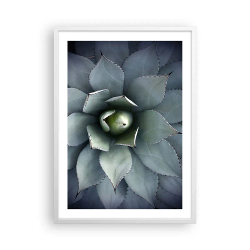 Affiche dans un cadre blanc - Poster - Wabi et observe - 50x70 cm