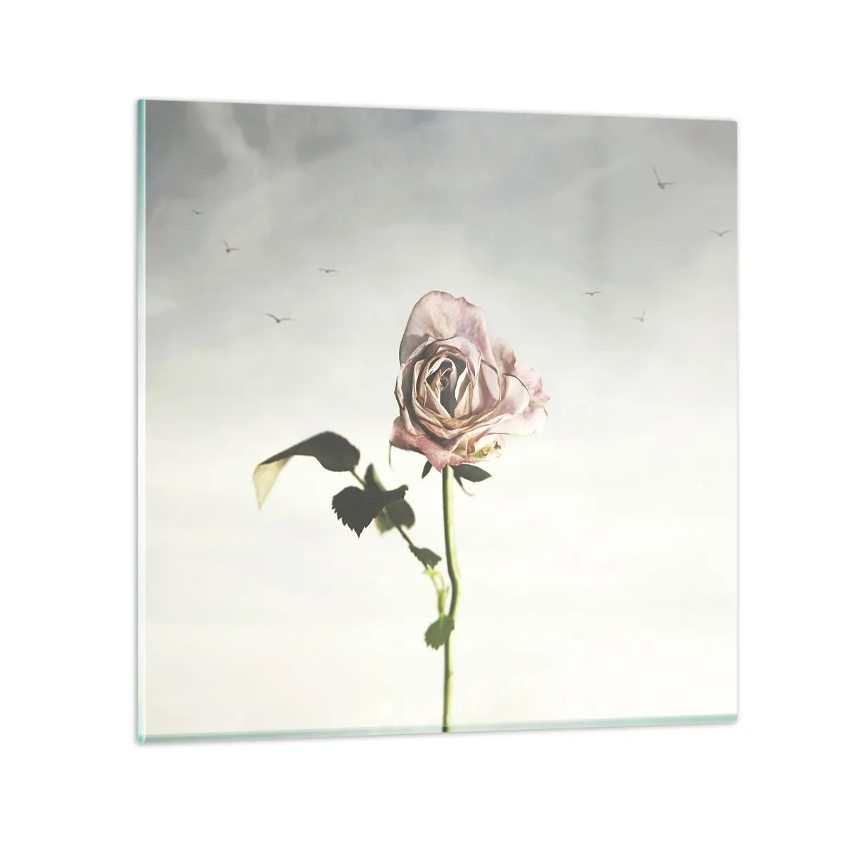 Impression sur verre - Image sur verre - Bonjour de printemps - 60x60 cm