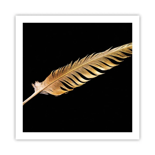 Affiche - Poster - Sans porte-plume - 60x60 cm