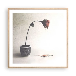 Affiche dans un chêne clair - Poster - Rosa dolorosa - 60x60 cm
