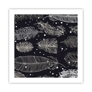 Affiche - Poster - Toile de plumes - 50x50 cm