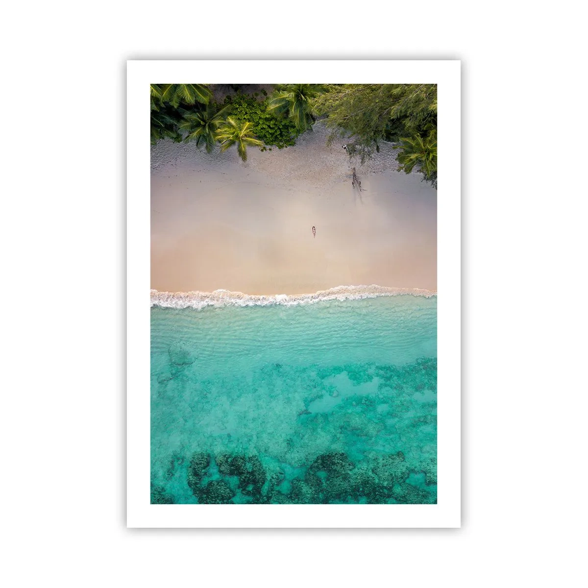 Affiche - Poster - Vue aérienne de la plage avec eau turquoise et palmiers - 50x70cm - Plage paradisiaque - Décoration murale moderne pour le salon et la chambre ARTTOR