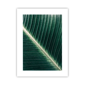 Affiche - Poster - Le rythme de la nature - 30x40 cm