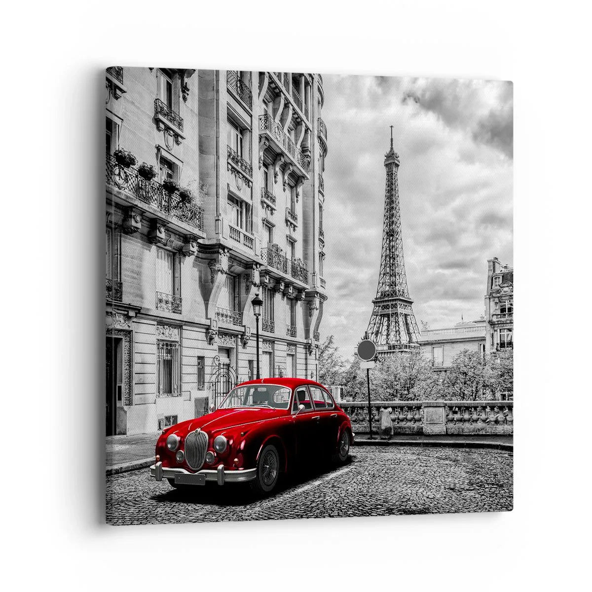 Impression sur toile - Image sur toile - Prédateur dans la ville - 40x40 cm