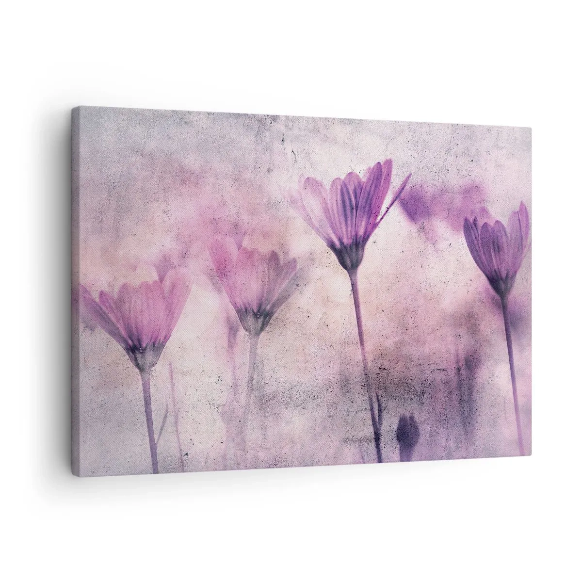Impression sur toile - Image sur toile - Fleurs délicates dans des tons violets sur fond clair - 70x50cm - Rêve de fleurs - Décoration murale moderne pour le salon et la chambre ARTTOR
