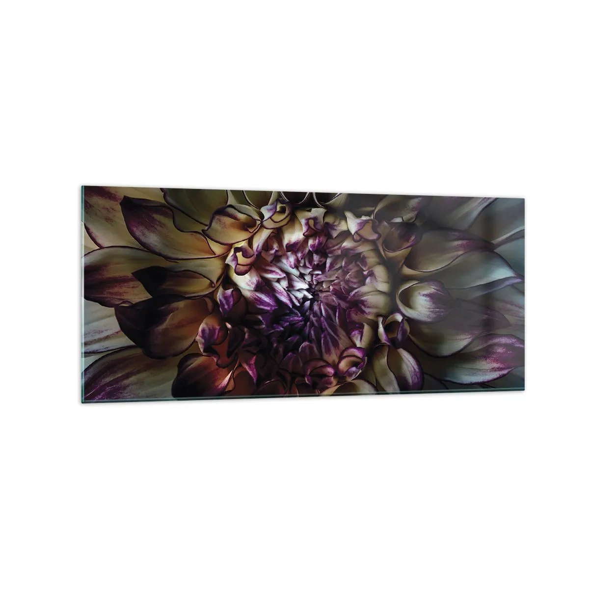 Impression sur verre - Image sur verre - Gros plan d'une fleur de dahlia dans des tons sombres - 120x50cm - L'apogée de la jeunesse - Décoration murale moderne pour le salon et la chambre ARTTOR