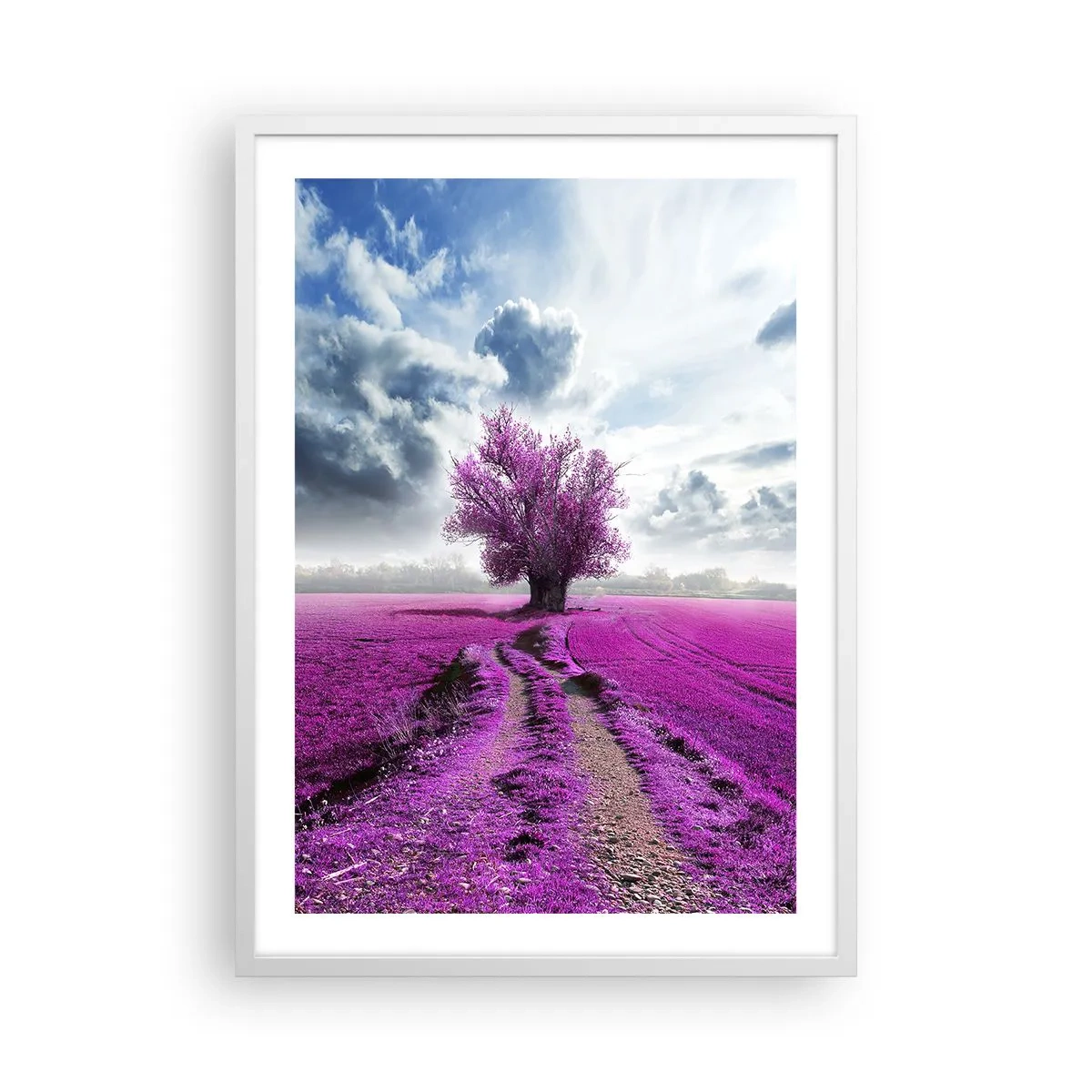 Affiche dans un cadre blanc - Poster - Lande - nature sauvage - 50x70 cm