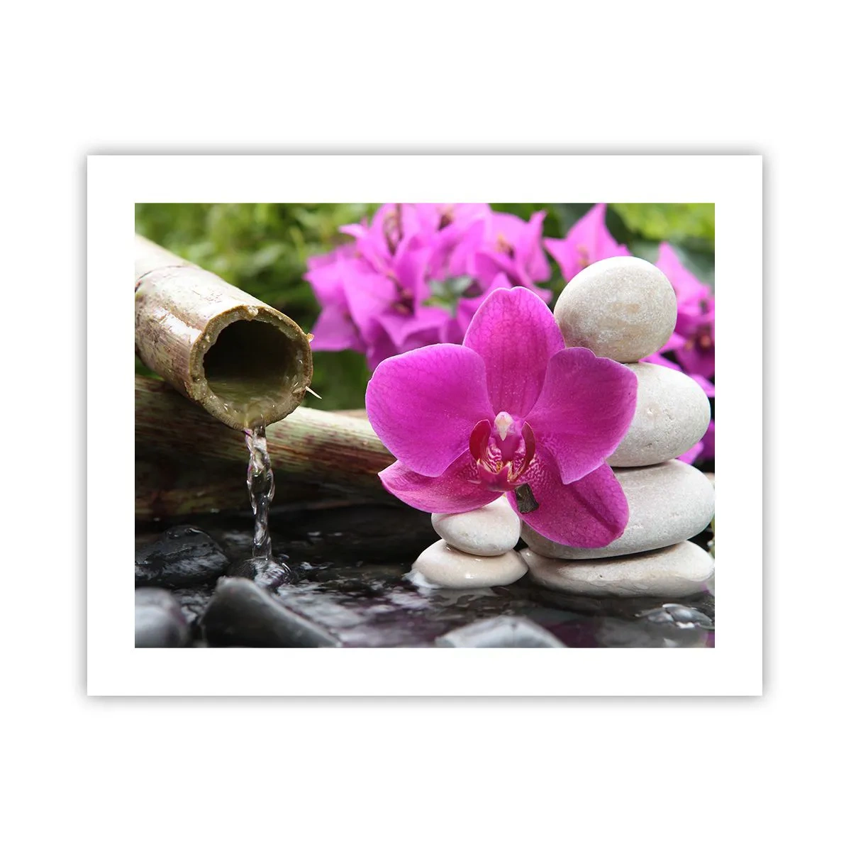 Affiche - Poster - Tu te reposes déjà - 50x40 cm