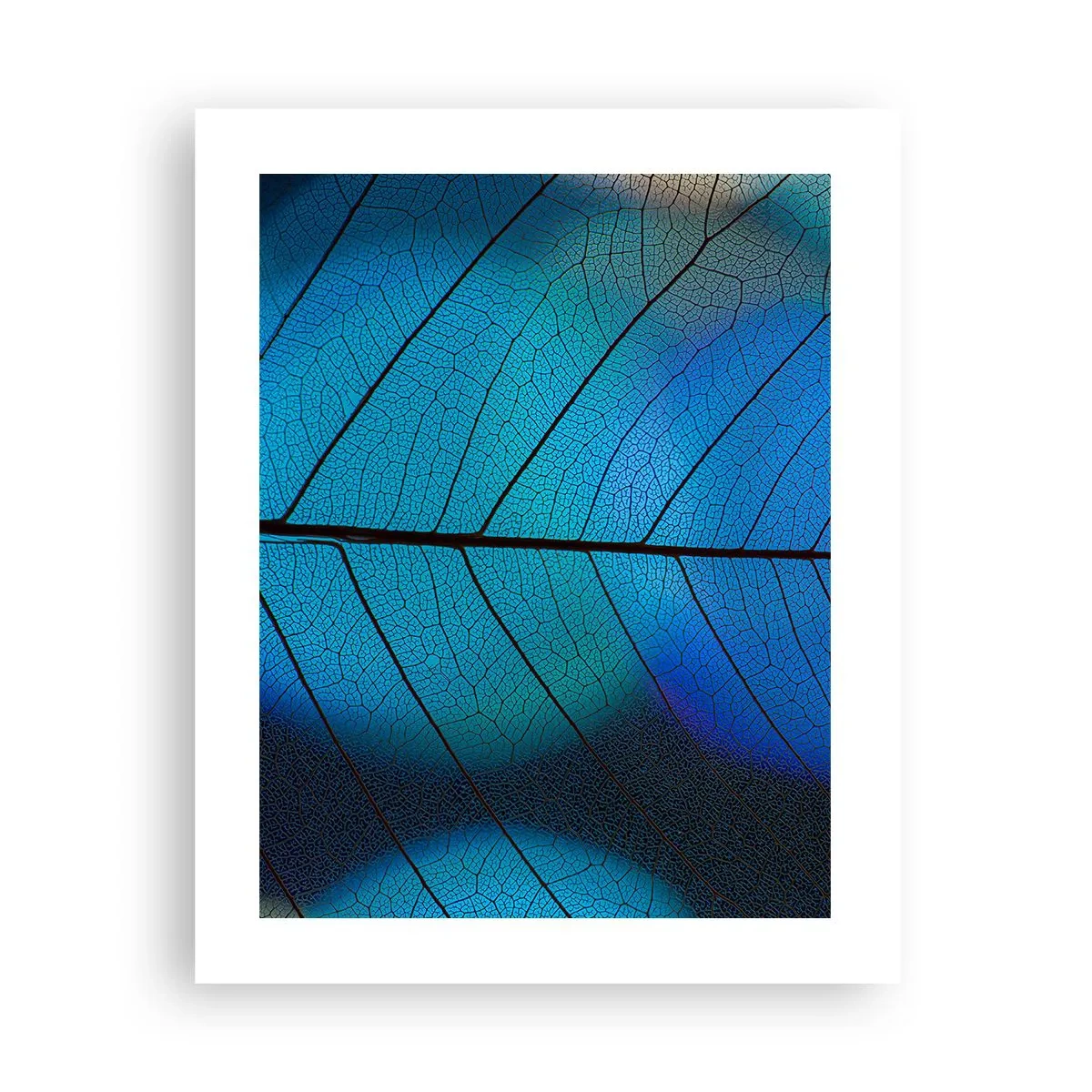 Affiche - Poster - Construction complexe - 40x50 cm