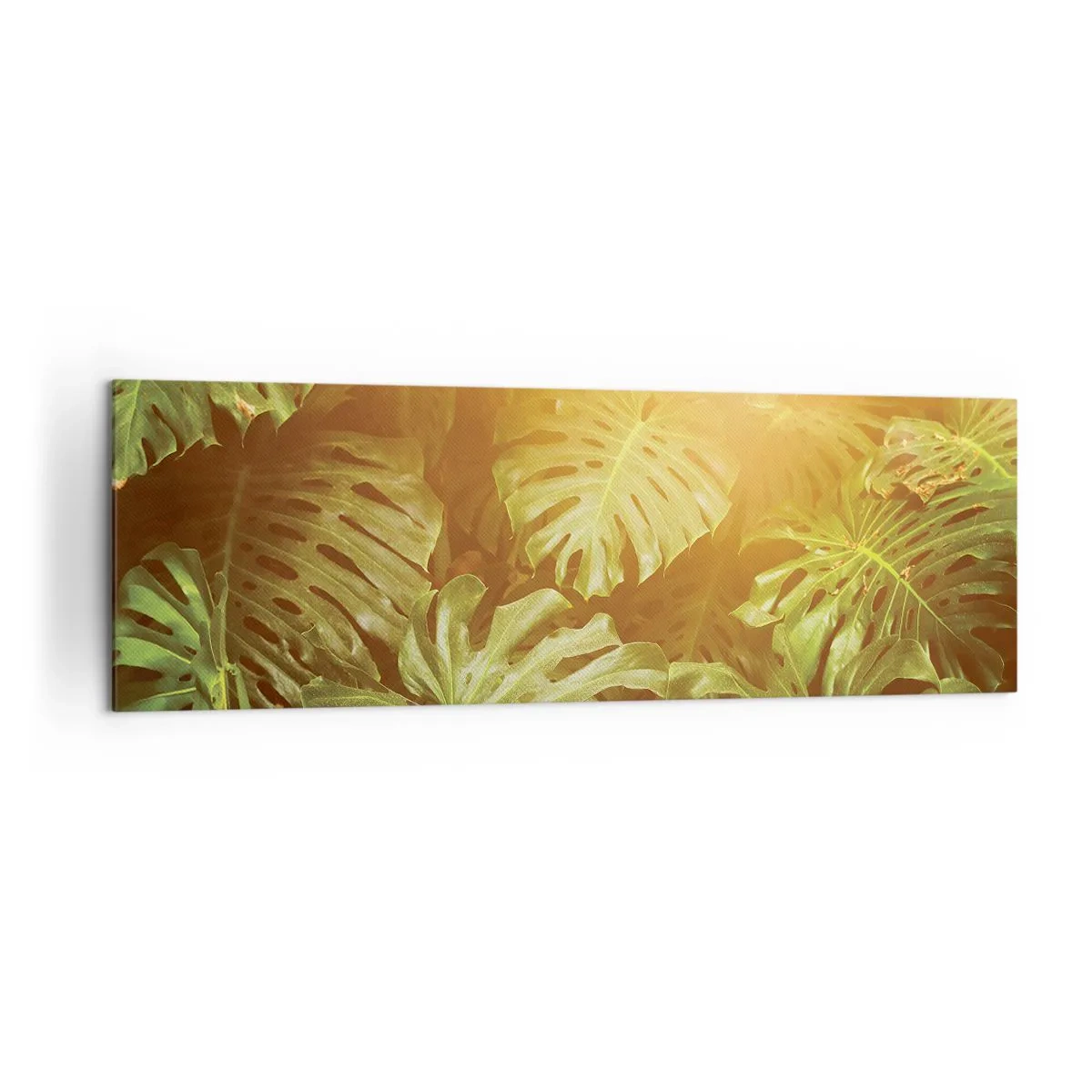 Impression sur toile - Image sur toile - Feuilles de Monstera au soleil sur fond naturel - 160x50cm - Se fondre dans la verdure - Décoration murale moderne pour le salon et la chambre ARTTOR