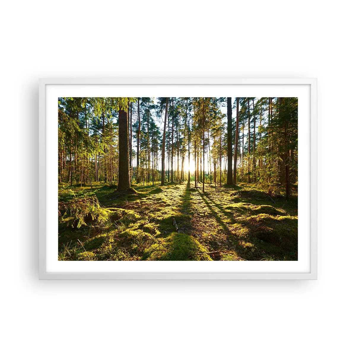 Affiche dans un cadre blanc - Poster - … Derrière les sept forêts - 70x50 cm