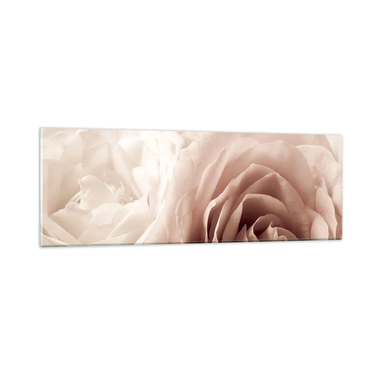 Impression sur verre - Image sur verre - Au coeur d'ue la rose - 90x30 cm