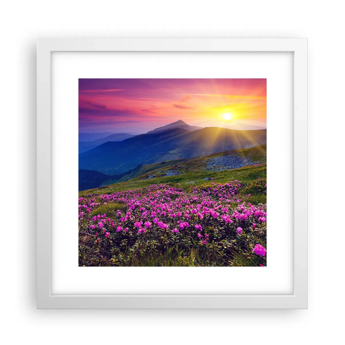 Affiche dans un cadre blanc - Poster - … Et autour, ça sent le pin des montagnes et l'odeur de la prairie - 30x30 cm