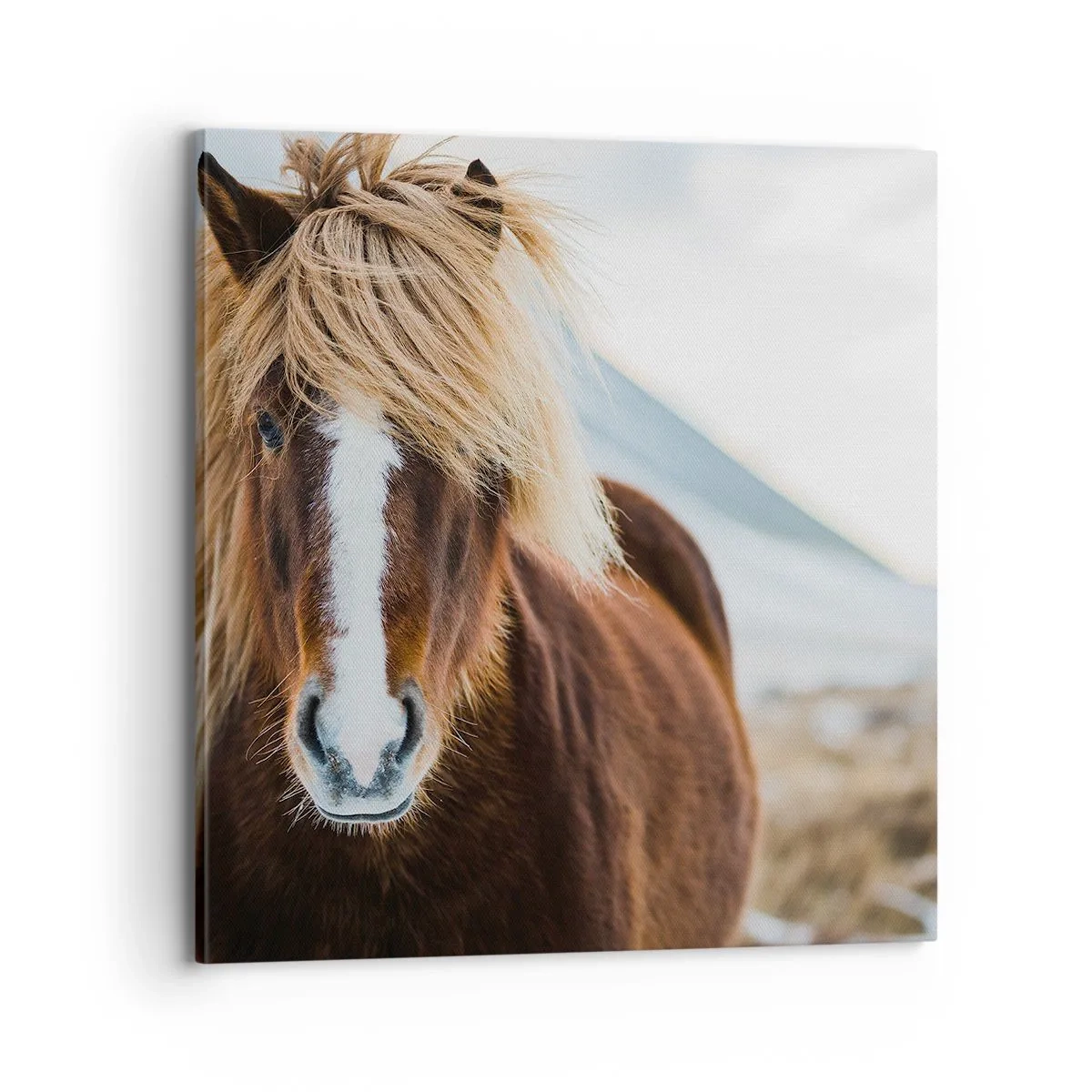 Impression sur toile - Image sur toile - Sentez-vous la liberté ? - 70x70 cm