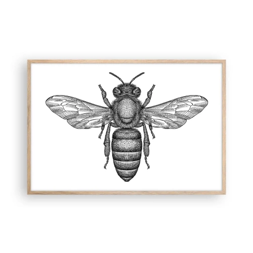 Affiche dans un chêne clair - Poster - Portrait d'insecte - 91x61 cm