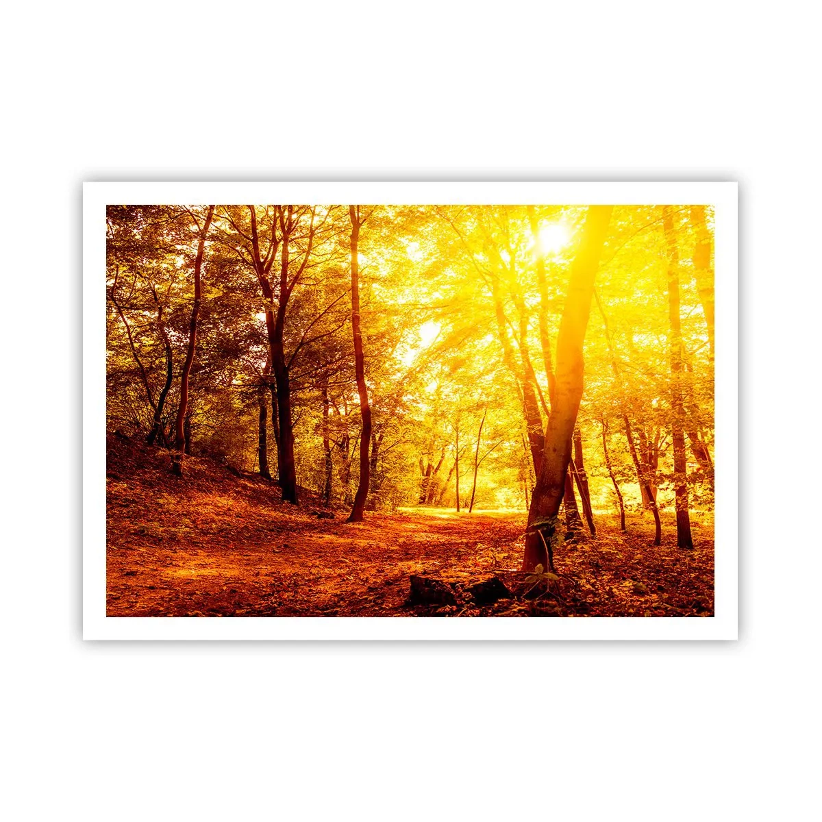 Affiche - Poster - Clairière d'automne sous le soleil doré avec un sentier forestier - 100x70cm - Vers la clairière dorée - Décoration murale moderne pour le salon et la chambre ARTTOR