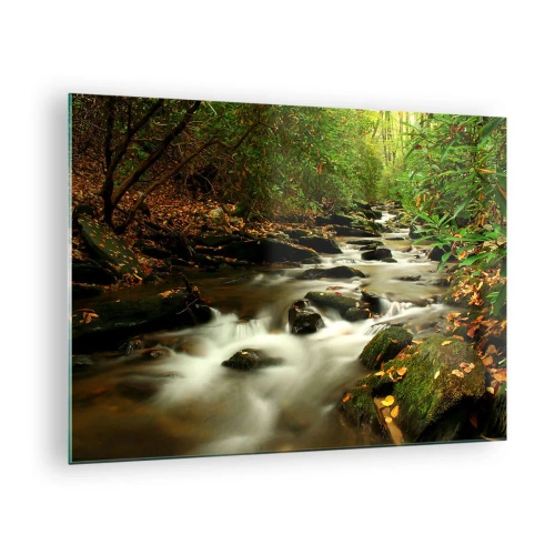Impression sur verre - Image sur verre - Un ruisseau dans la forêt entouré de pierres et de feuilles - 70x50cm - Comme de l'argent liquide - Décoration murale moderne pour le salon et la chambre ARTTOR