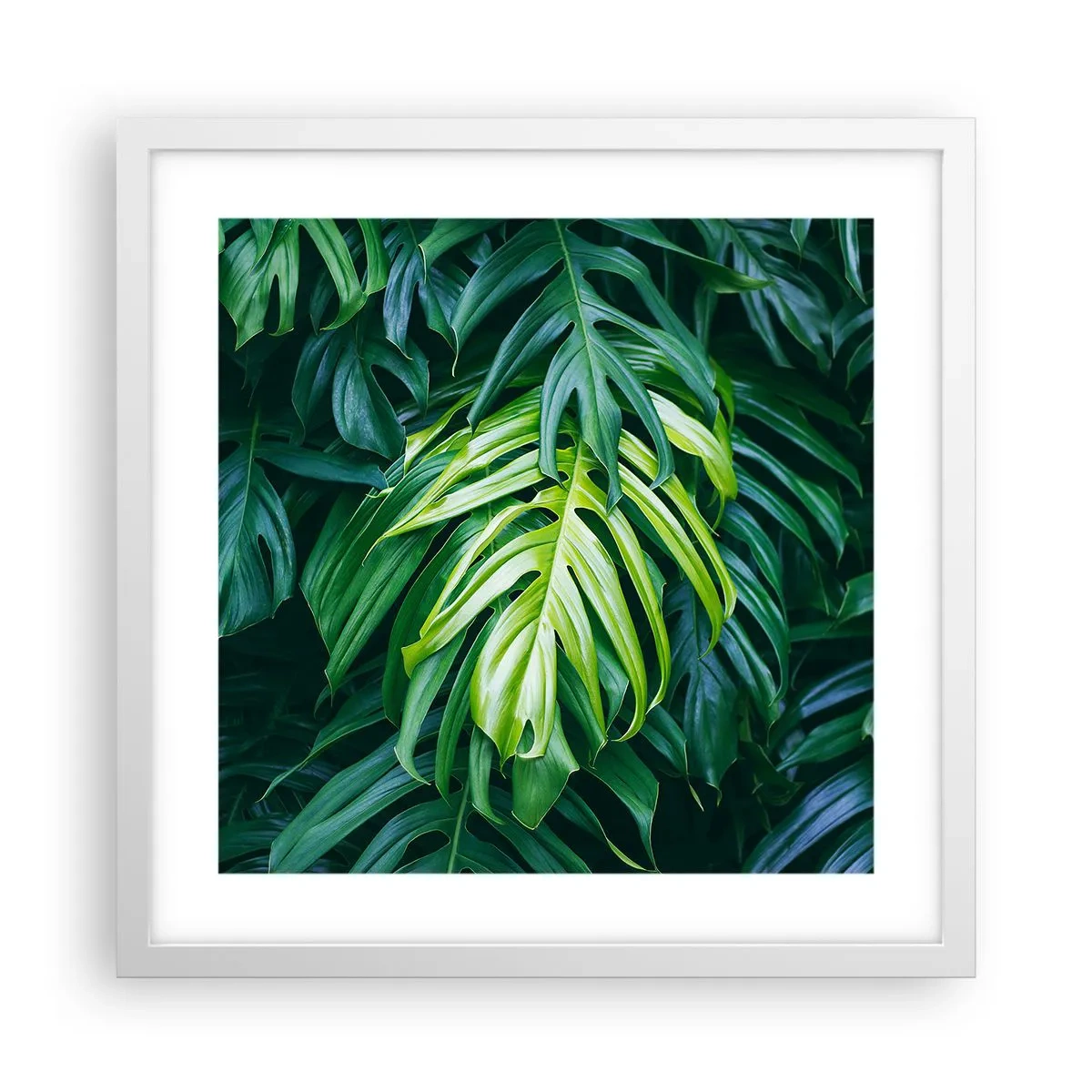 Affiche dans un cadre blanc - Poster - Immergez-vous dans la fraîcheur - 40x40 cm