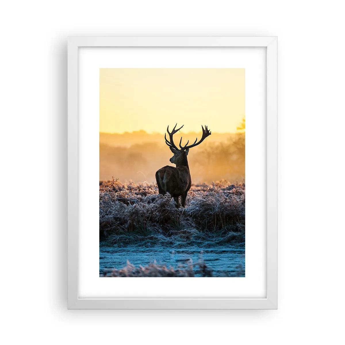 Affiche dans un cadre blanc - Poster - Couronné pour sa succession - 30x40 cm