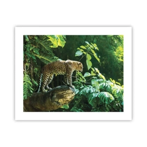 Affiche - Poster - À la chasse? - 50x40 cm