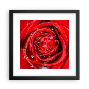 Affiche dans un cadre noir - Poster - Dans les gouttes de rosée - 30x30 cm