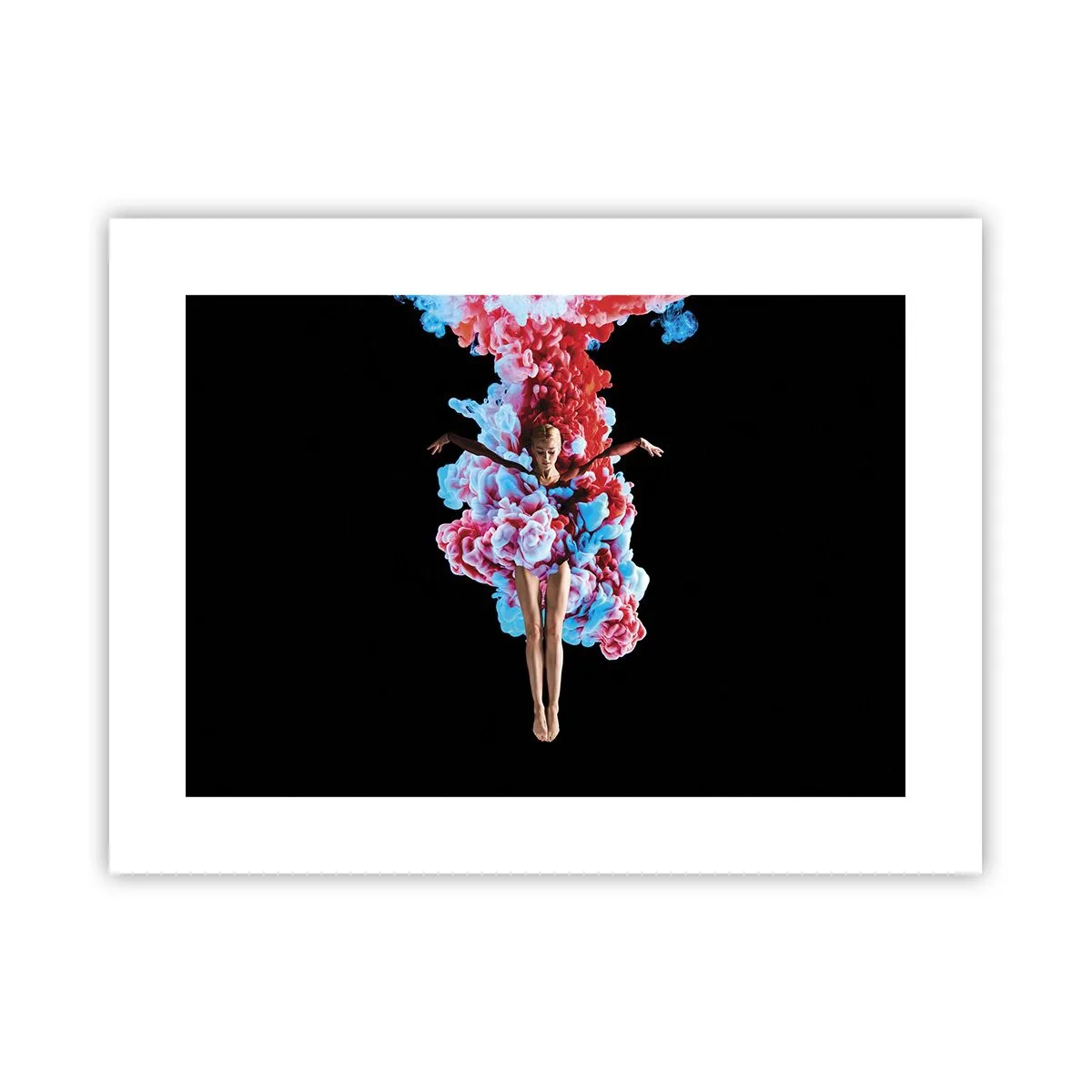 Affiche - Poster - En pleine floraison - 40x30 cm