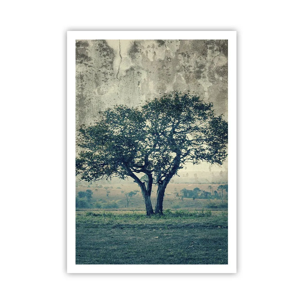 Affiche - Poster - Un pommier sur un champ bleu ? - 70x100 cm