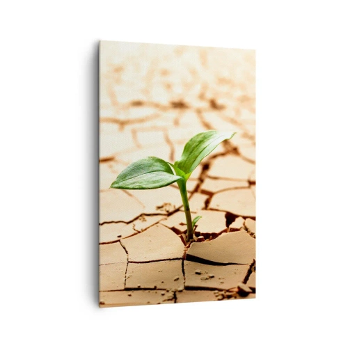 Impression sur toile - Image sur toile - Une plante verte poussant sur une terre sèche et craquelée - 80x120cm - La force indomptable de la vie - Décoration murale moderne pour le salon et la chambre ARTTOR