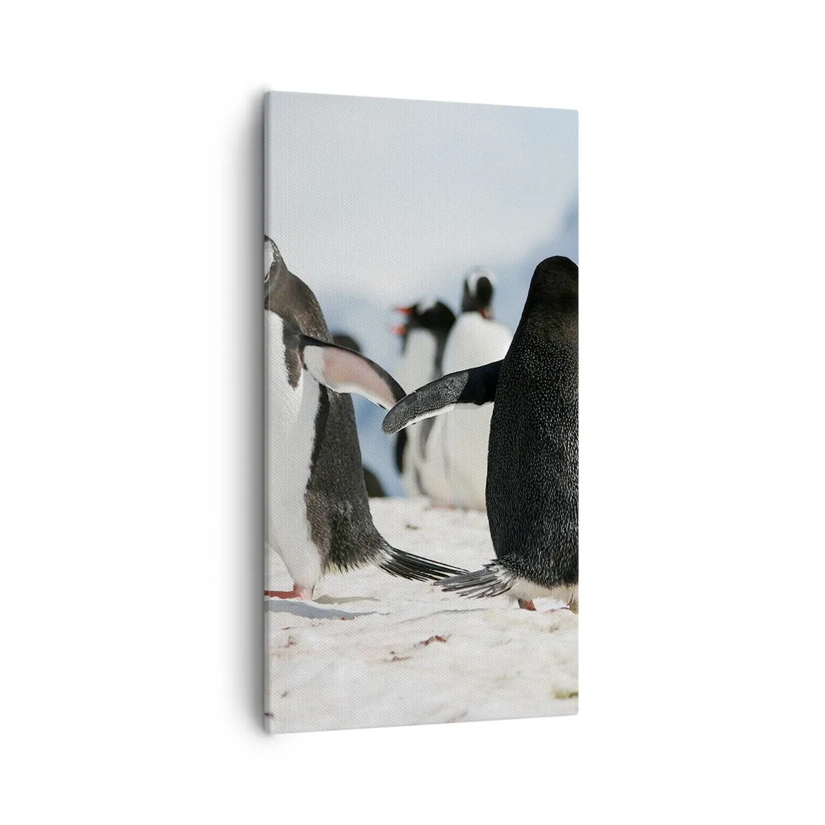 Impression sur toile - Image sur toile - Danser dans la neige - 55x100 cm