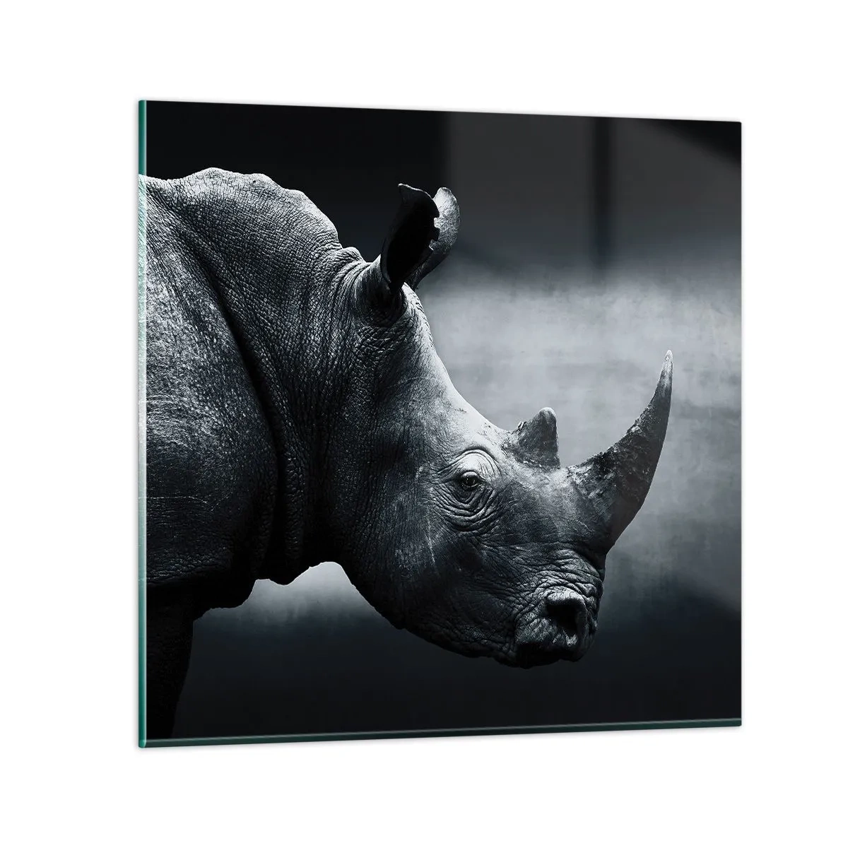 Impression sur verre - Image sur verre - Le profil droit - 50x50 cm