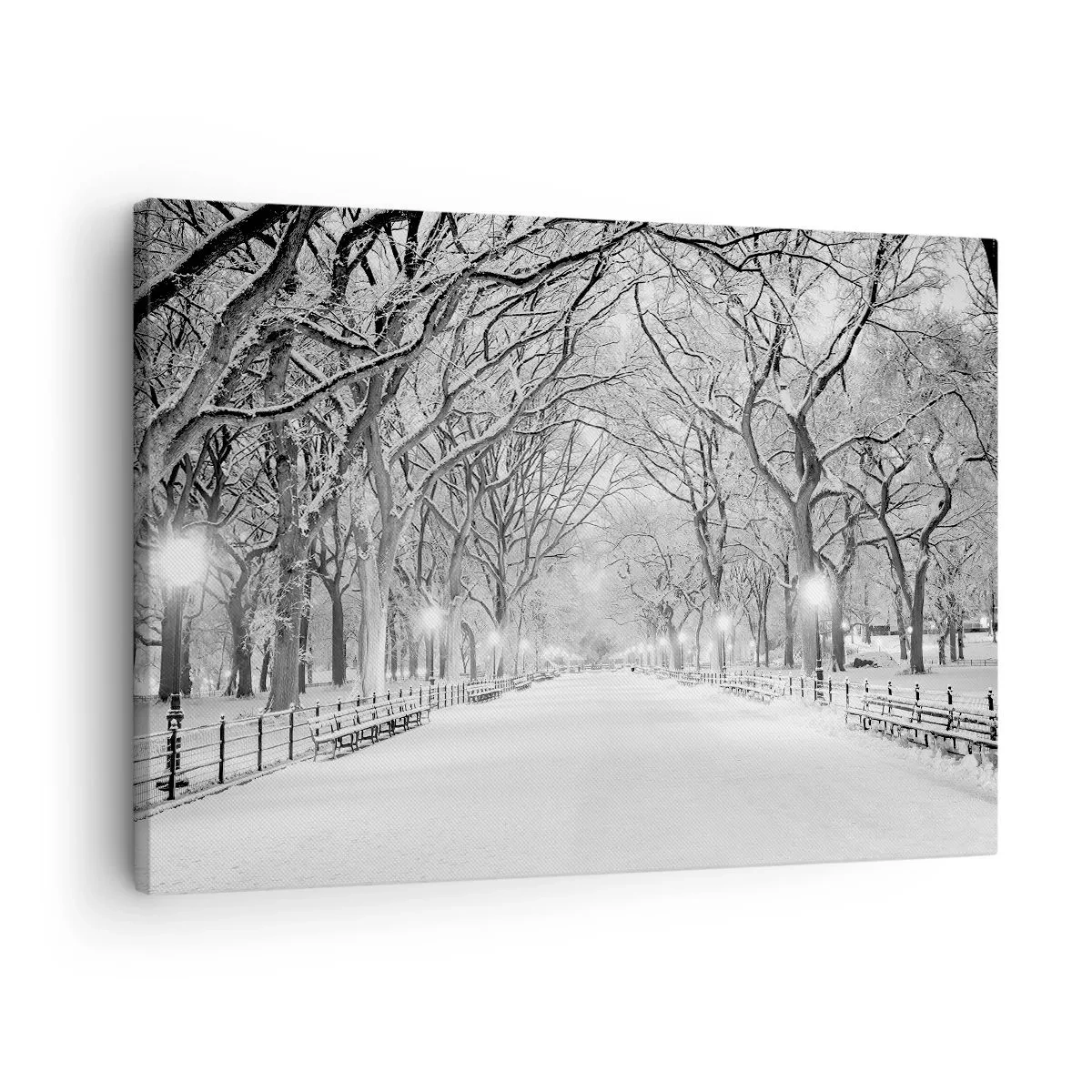 Impression sur toile - Image sur toile - Les quatres saisons – l’hiver - 70x50 cm
