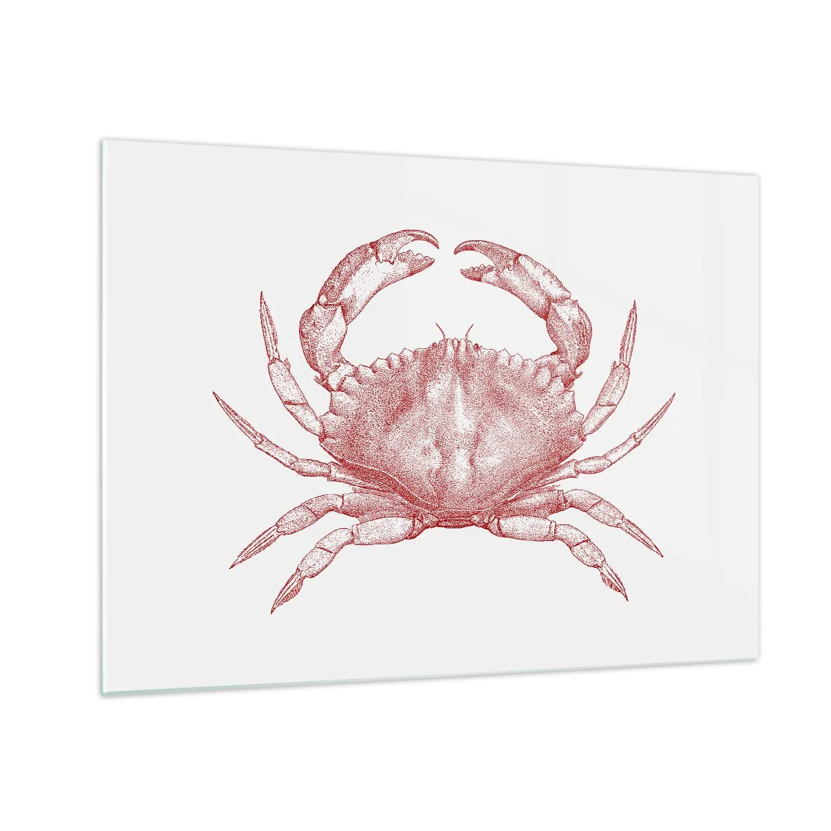 Impression sur verre - Image sur verre - Croquis d'un crabe rouge sur fond clair dans un style rétro - 70x50cm - Le crabe des crabes - Décoration murale moderne pour le salon et la chambre ARTTOR