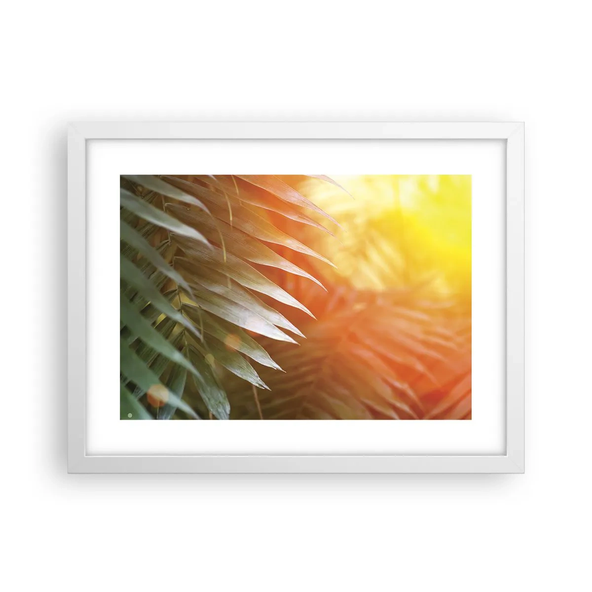 Affiche dans un cadre blanc - Poster - Matinée dans la jungle - 40x30 cm