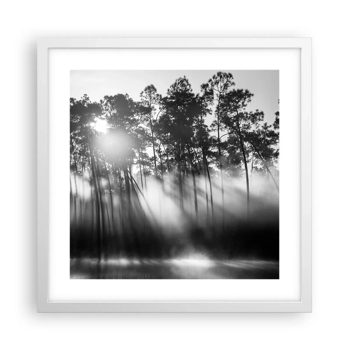 Affiche dans un cadre blanc - Poster - Soleil inarrêtable - 40x40 cm