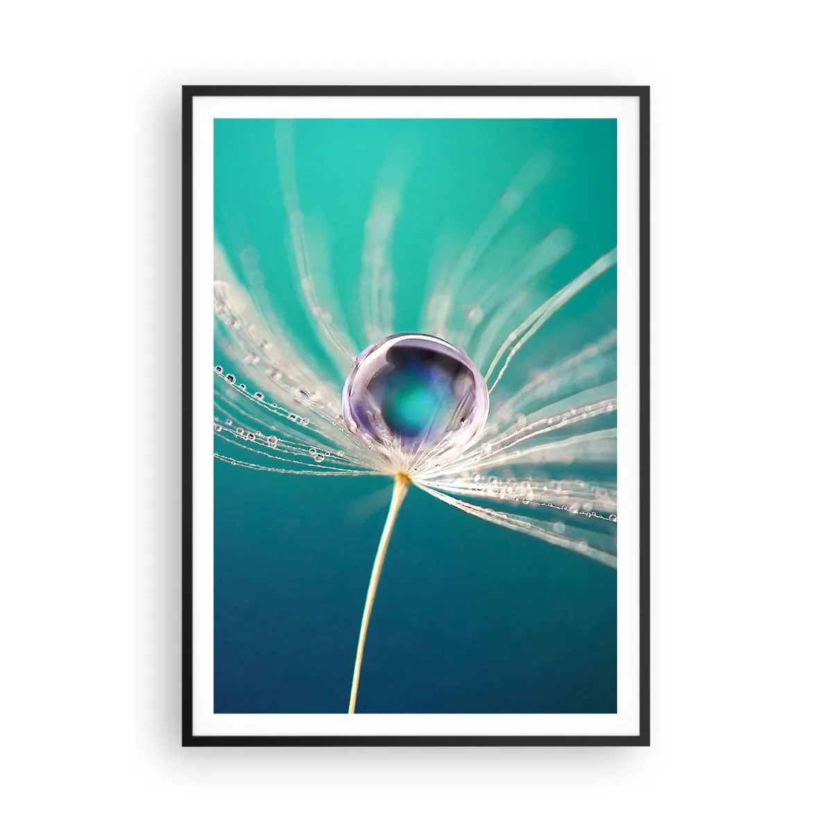 Affiche dans un cadre noir - Poster - Moment mystique - 70x100 cm