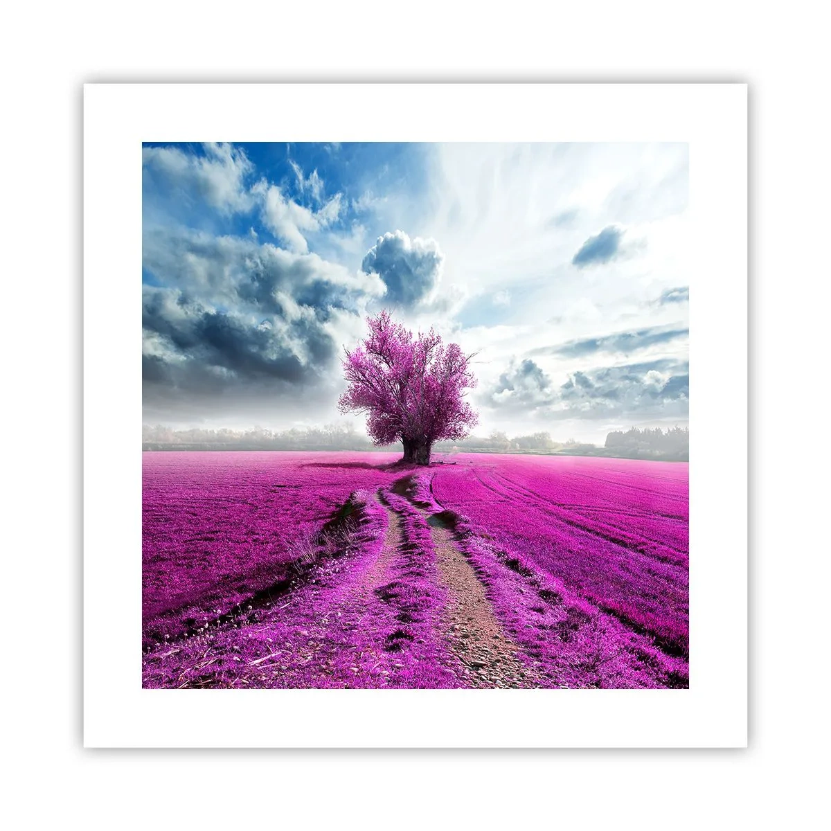 Affiche - Poster - Lande - nature sauvage - 40x40 cm