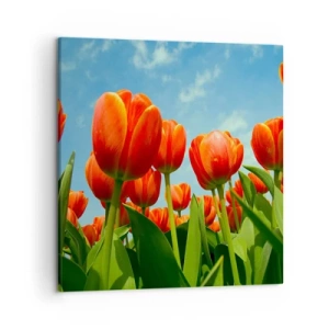 Impression sur toile - Image sur toile - A part le ciel bleu, ils n'ont besoin de rien dans leur vie - 50x50 cm