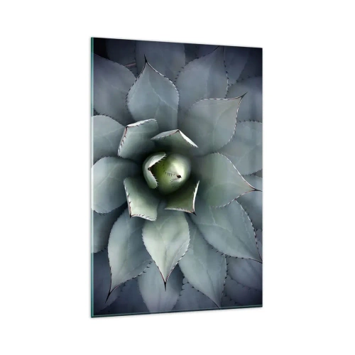 Impression sur verre - Image sur verre - Gros plan d'une rosette d'agave aux délicates nuances de vert - 80x120cm - Wabi et observe - Décoration murale moderne pour le salon et la chambre ARTTOR