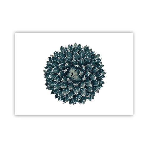 Affiche - Poster - Plante succulente symétrique sur fond blanc - 100x70cm - Étoile du désert - Décoration murale moderne pour le salon et la chambre ARTTOR