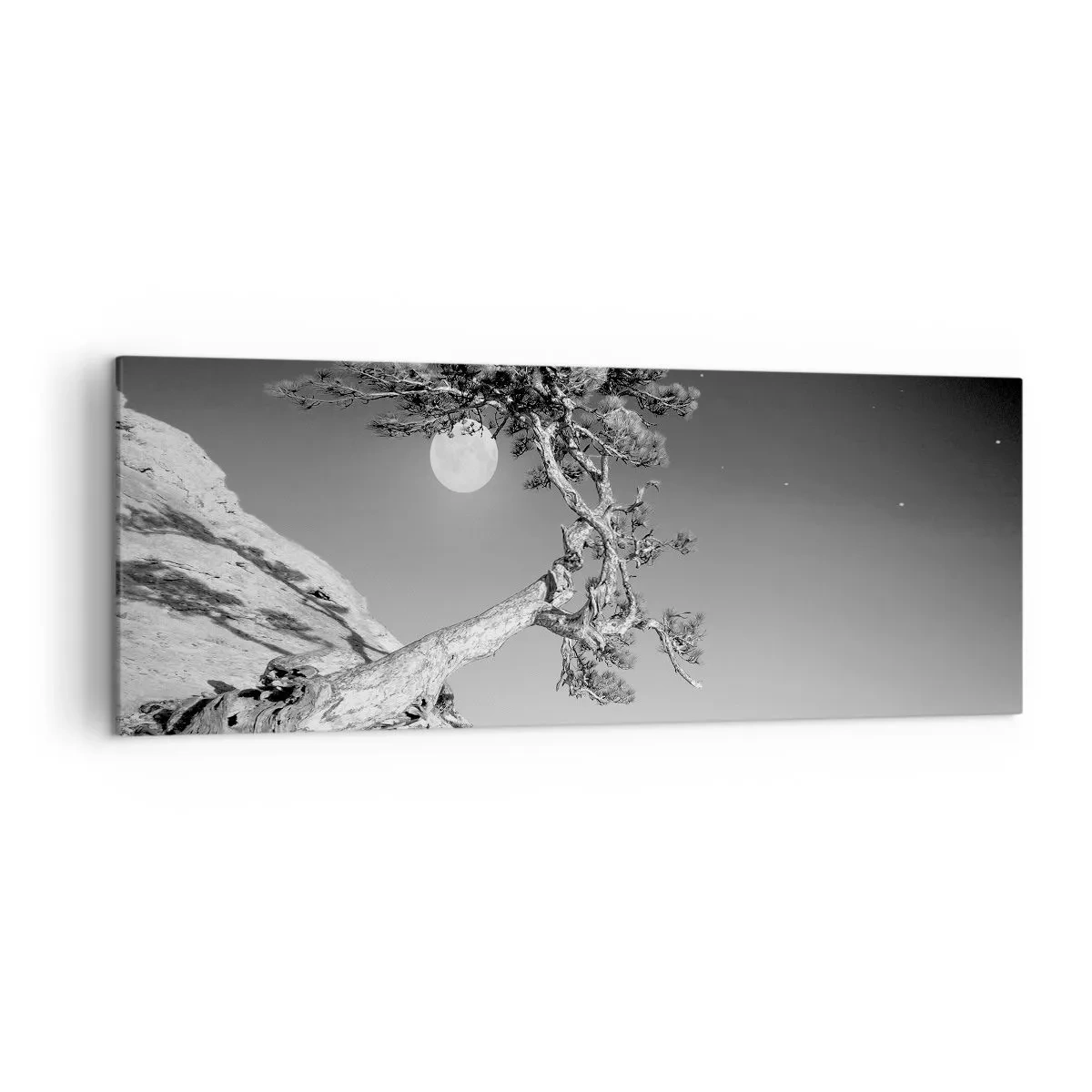 Impression sur toile - Image sur toile - Arbre noir et blanc sur une falaise avec la lune en arrière-plan - 140x50cm - Un combattant vainqueur - Décoration murale moderne pour le salon et la chambre ARTTOR