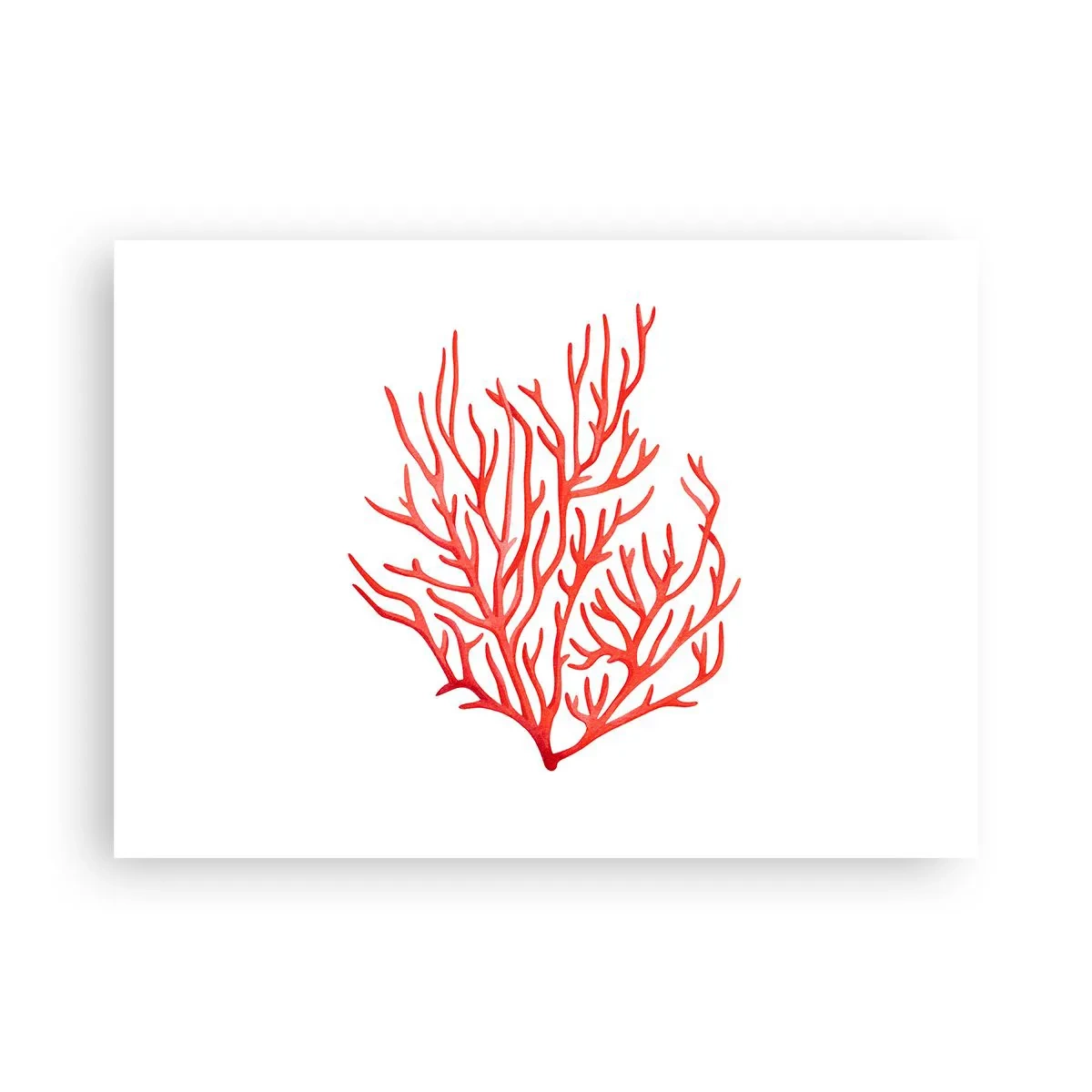 Affiche - Poster - Filigrane de corail - 70x50 cm