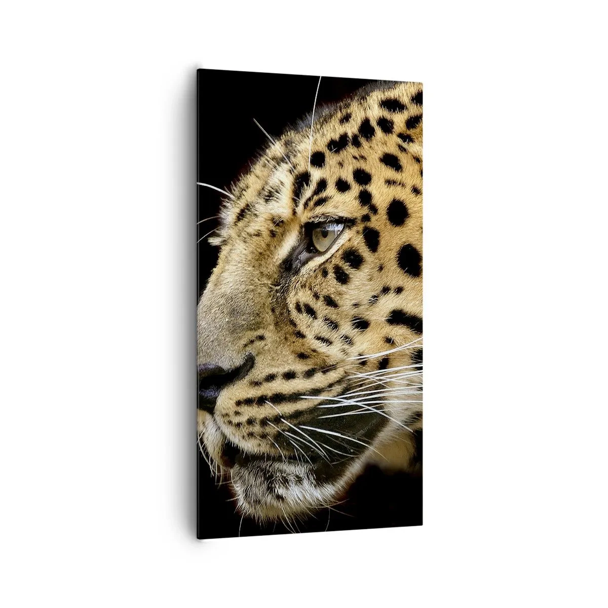 Impression sur toile - Image sur toile - Calme, concentré, prêt - 65x120 cm