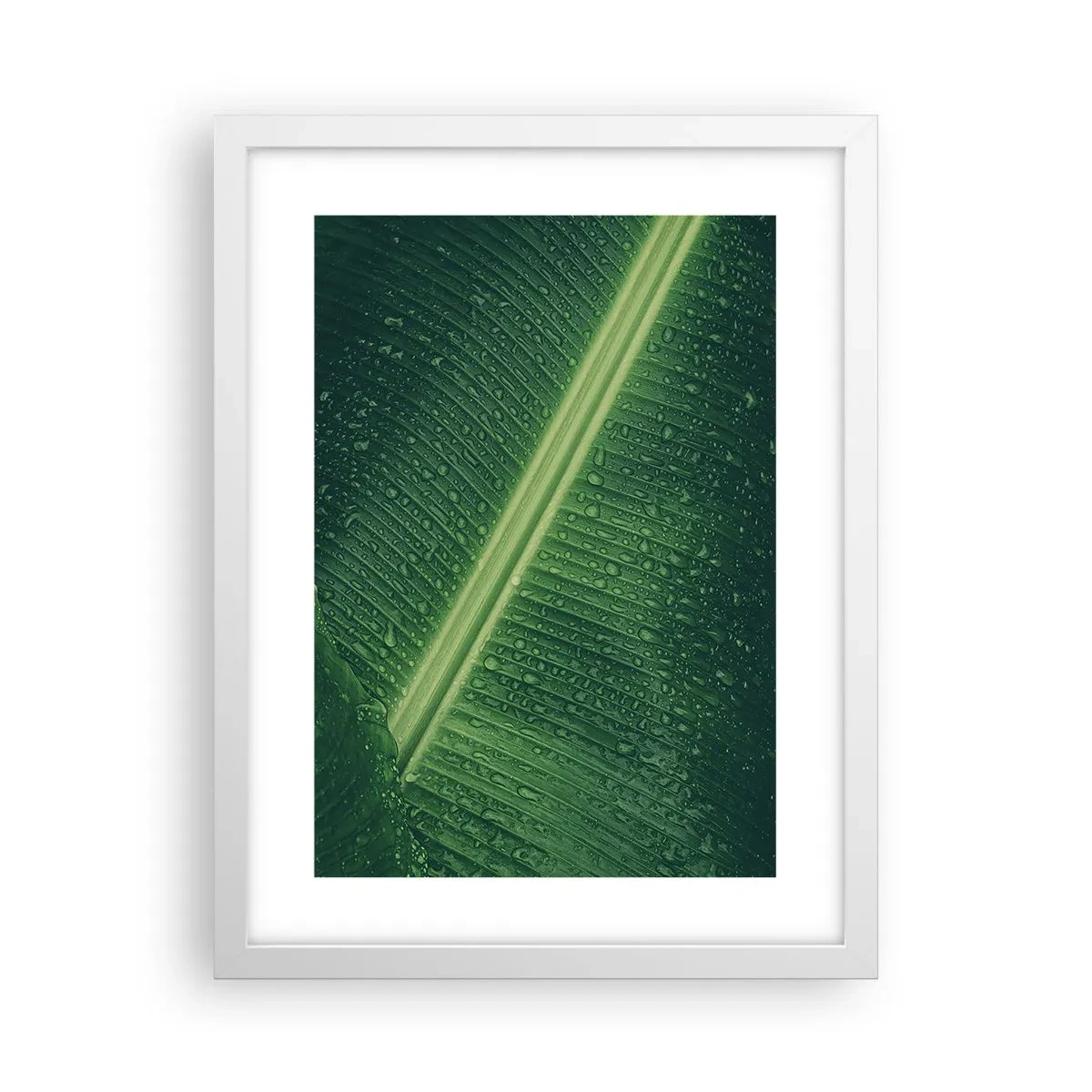 Affiche dans un cadre blanc - Poster - Structure de vert - 30x40 cm