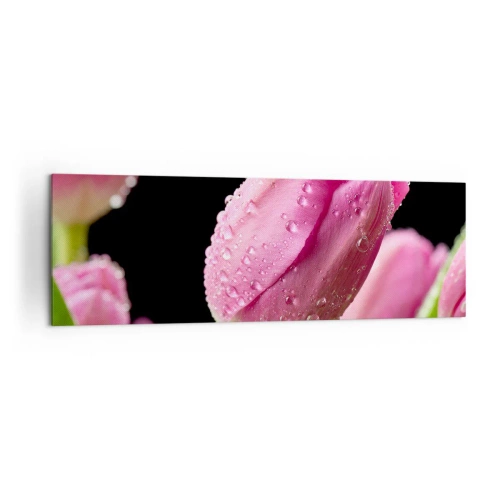Impression sur toile - Image sur toile - Tulipe rose avec des gouttes d'eau sur fond noir - 160x50cm - Rêve de lilas dans la rosée - Décoration murale moderne pour le salon et la chambre ARTTOR