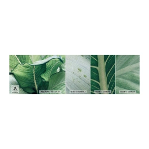 Échantillon de Papier Peint Premium Sand - Une vie intensément verte - Feuilles, Exotique, Botanique - 100x30 cm