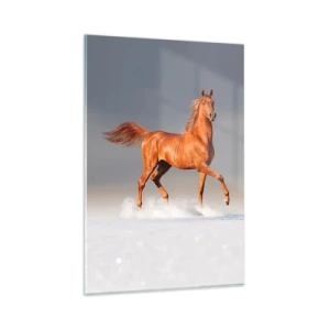 Impression sur verre - Image sur verre - Un cheval au galop contre un ciel bleu - 80x120cm - La grâce dansante - Décoration murale moderne pour le salon et la chambre ARTTOR