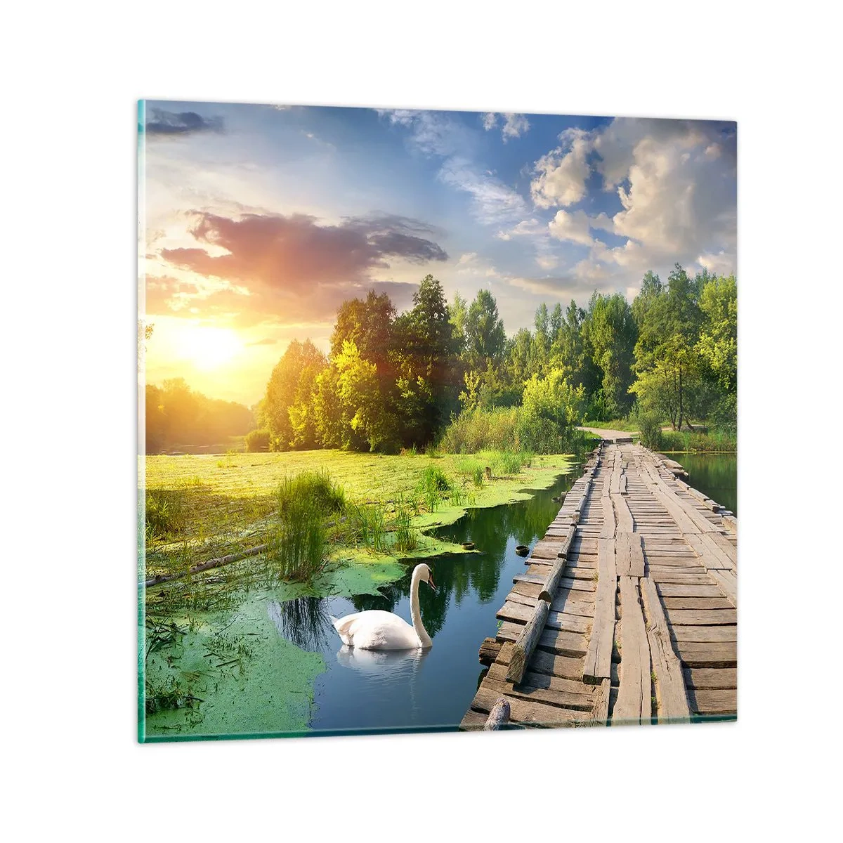 Impression sur verre - Image sur verre - L'été, l'été partout - 70x70 cm